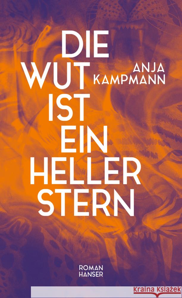 Die Wut ist ein heller Stern Kampmann, Anja 9783446281202 Hanser