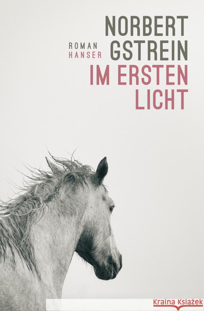 Im ersten Licht Gstrein, Norbert 9783446282971