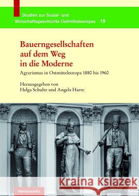 Bauerngesellschaften Auf Dem Weg in Die Moderne: Agrarismus in Ostmitteleuropa 1880 Bis 1960 Schultz, Helga 9783447062725 Harrassowitz