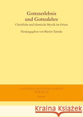 Gotteserlebnis Und Gotteslehre: Christliche Und Islamische Mystik Im Orient Tamcke, Martin 9783447064262 Harassowitz Verlag