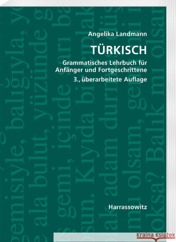 Türkisch Grammatisches Lehrbuch für Anfänger und Fortgeschrittene Landmann, Angelika 9783447119542 Harrassowitz