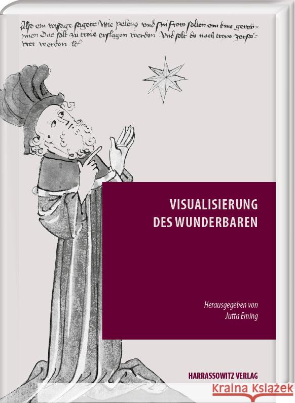 Visualisierung Des Wunderbaren: Unter Mitarbeit Von Laura Monique Ginzel Jutta Eming 9783447123037