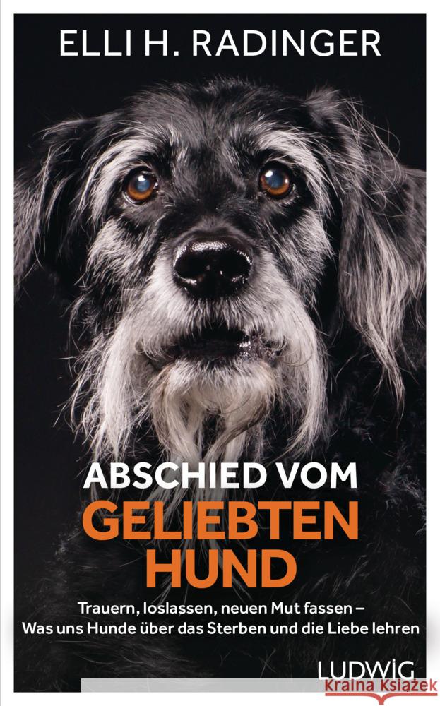 Abschied vom geliebten Hund Radinger, Elli H. 9783453281486 Ludwig, München