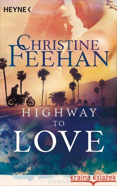 Highway to Love : Roman Feehan, Christine 9783453423176