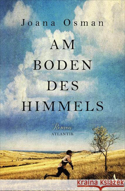 Am Boden des Himmels : Roman Osman, Joana 9783455009026