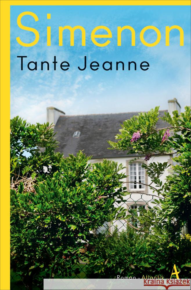 Tante Jeanne Simenon, Georges 9783455013429