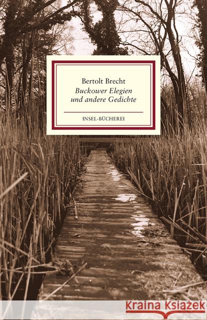 Buckower Elegien und andere Gedichte Brecht, Bertolt 9783458177319 Insel Verlag