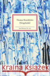 Hirngefunkel : Gedichte Rosenlöcher, Thomas 9783458193692 Insel, Frankfurt