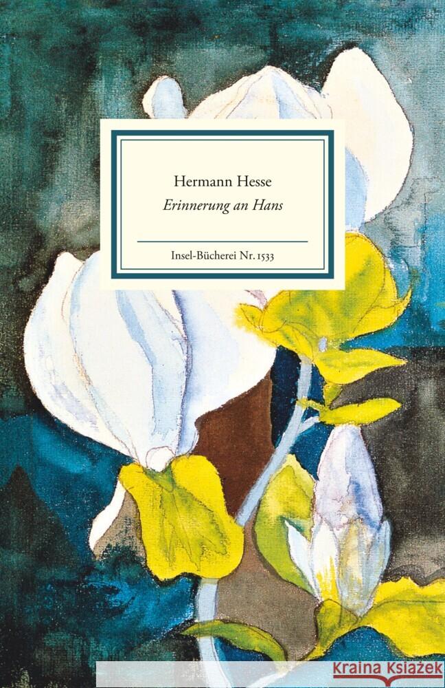 Erinnerung an Hans Hesse, Hermann 9783458195337 Insel Verlag