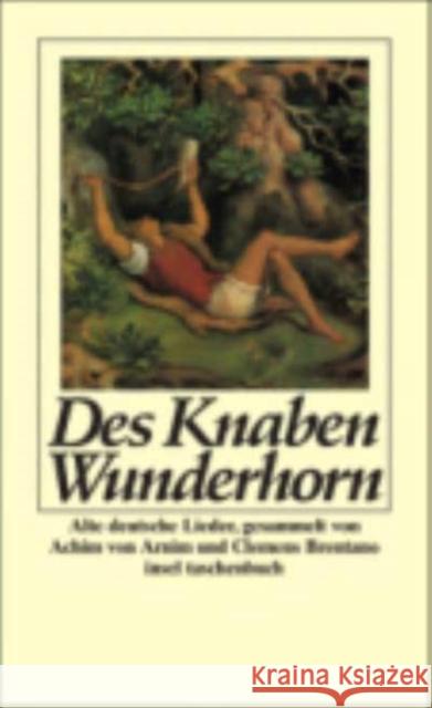 Des Knaben Wunderhorn Achim von Arnim, Clemens Brentano, Friedrich Ranke 9783458317852