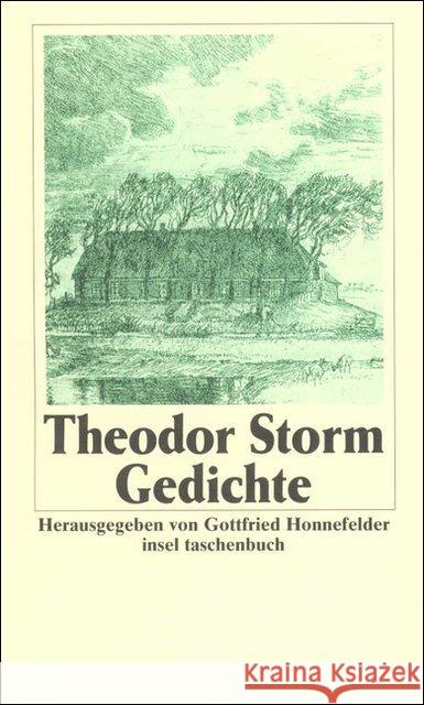 Gedichte Storm, Theodor   9783458324317 Insel, Frankfurt