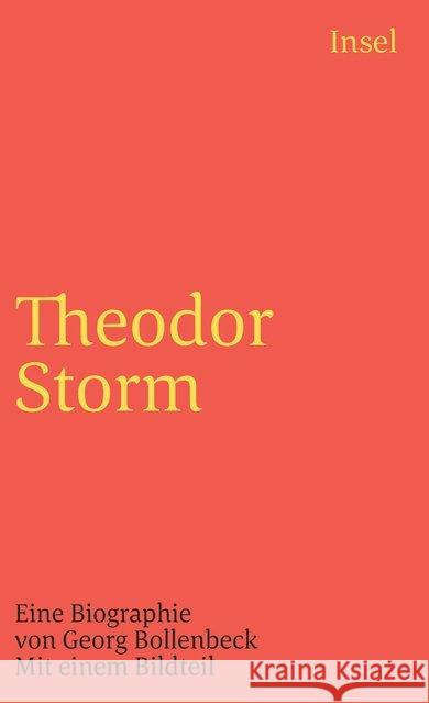 Theodor Storm Bollenbeck, Georg 9783458330479 Insel Verlag