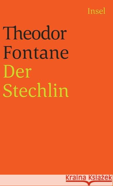 Der Stechlin Fontane, Theodor 9783458336556 Insel Verlag