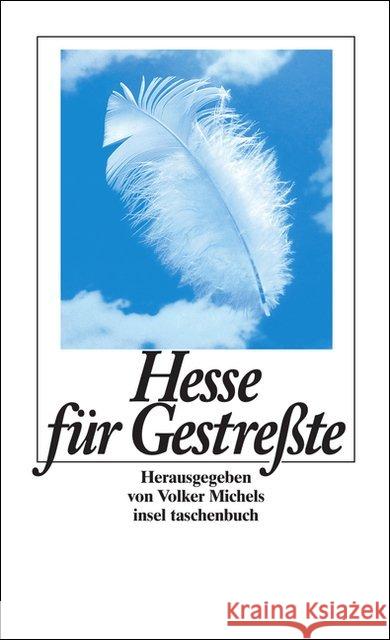 Hesse für Gestreßte Hesse, Hermann Michels, Volker  9783458342380 Insel, Frankfurt