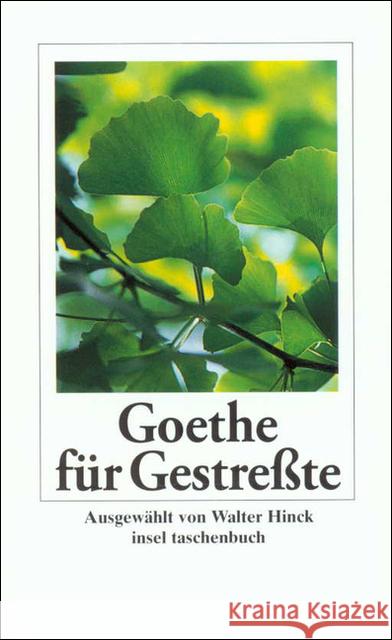 Goethe Fur Gestresste Johann Wolfgang von Goethe 9783458343752 Insel Verlag Anton Kippenberg