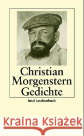 Gedichte Morgenstern, Christian Habel, Reinhardt  9783458347156 Insel, Frankfurt