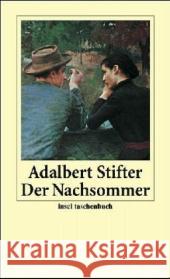 Der Nachsommer Stifter, Adalbert   9783458348191 Insel, Frankfurt