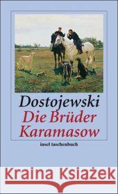 Die Brüder Karamasow : Roman Dostojewskij, Fjodor M. Nötzel, Karl  9783458352204 Insel, Frankfurt