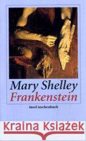 Frankenstein oder Der moderne Prometheus Shelley, Mary Wollstonecraft Leder, Karl Br. Leetz, Gerd 9783458352235 Insel, Frankfurt