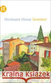 Sommer Hesse, Hermann 9783458358381