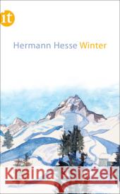 Winter Hesse, Hermann 9783458358930