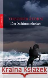 Der Schimmelreiter : Novelle Storm, Theodor 9783458362166 Insel, Frankfurt