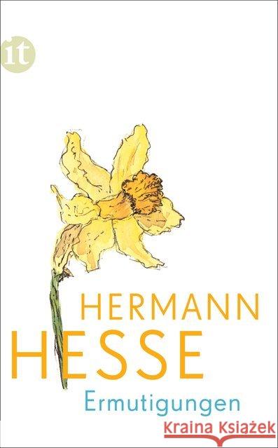 Ermutigungen : Gedanken aus seinen Werken und Briefen Hesse, Hermann 9783458362760 Insel Verlag