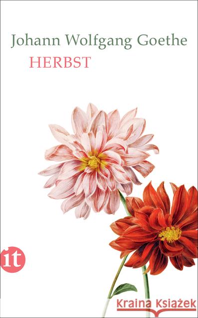 Herbst Goethe, Johann Wolfgang von 9783458363071 Insel Verlag