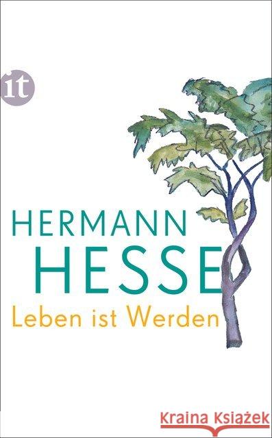 Leben ist Werden : Gedanken aus seinen Werken und Briefen Hesse, Hermann 9783458363170 Insel Verlag