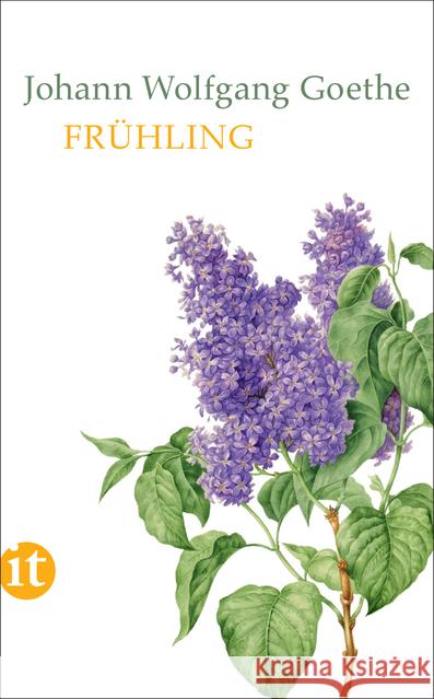 Frühling Goethe, Johann Wolfgang von 9783458363330 Insel Verlag