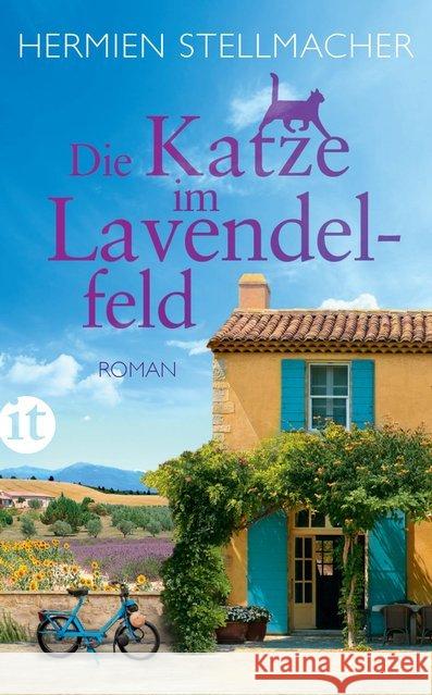 Die Katze im Lavendelfeld : Roman Stellmacher, Hermien 9783458364078 Insel Verlag