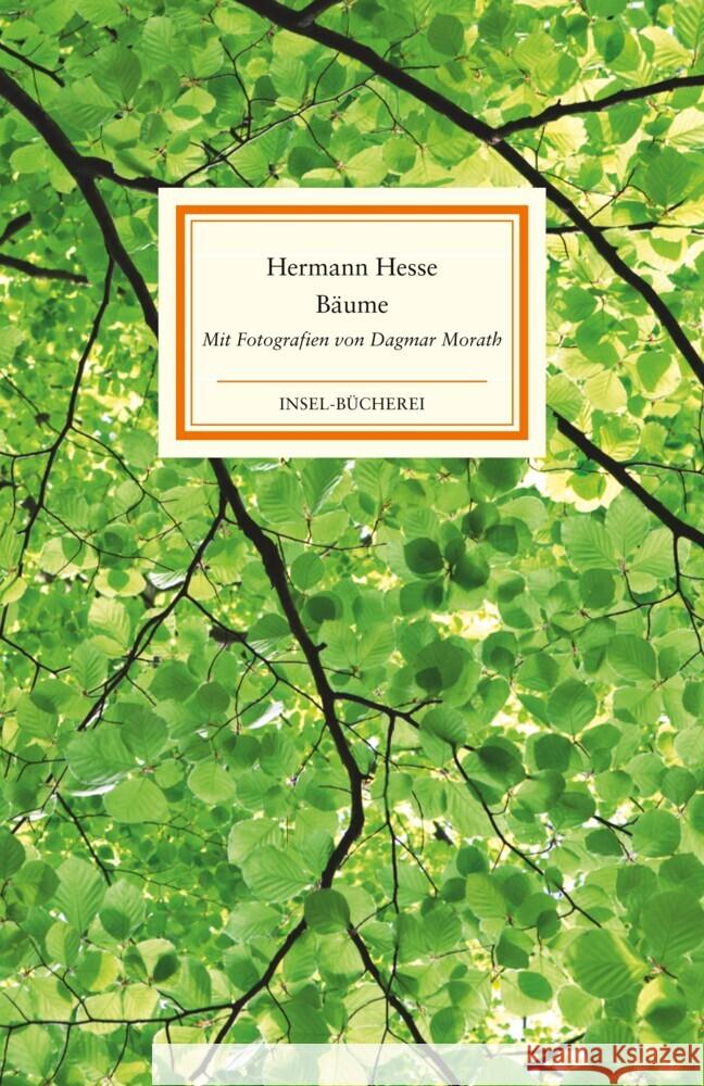 Bäume Hesse, Hermann 9783458643005 Insel Verlag