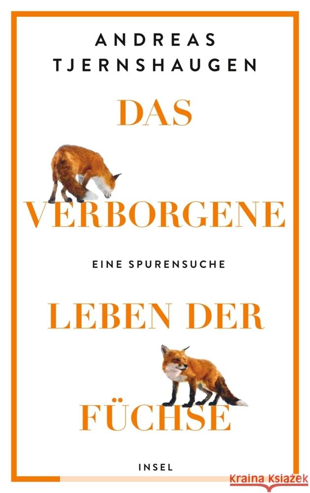 Das verborgene Leben der Füchse Tjernshaugen, Andreas 9783458643715 Insel Verlag