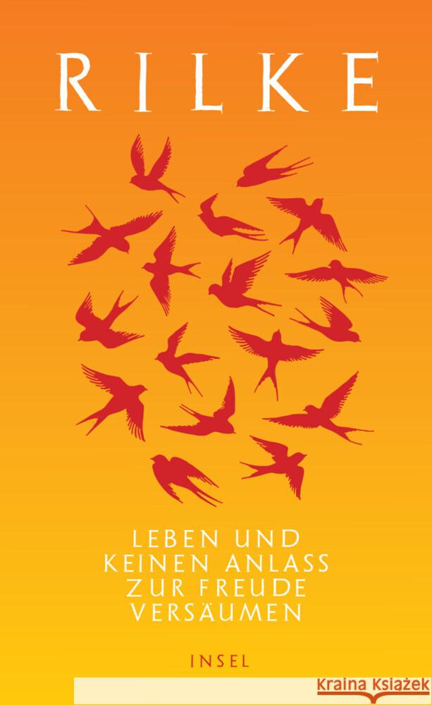 Leben und keinen Anlaß zur Freude versäumen Rilke, Rainer Maria 9783458645276