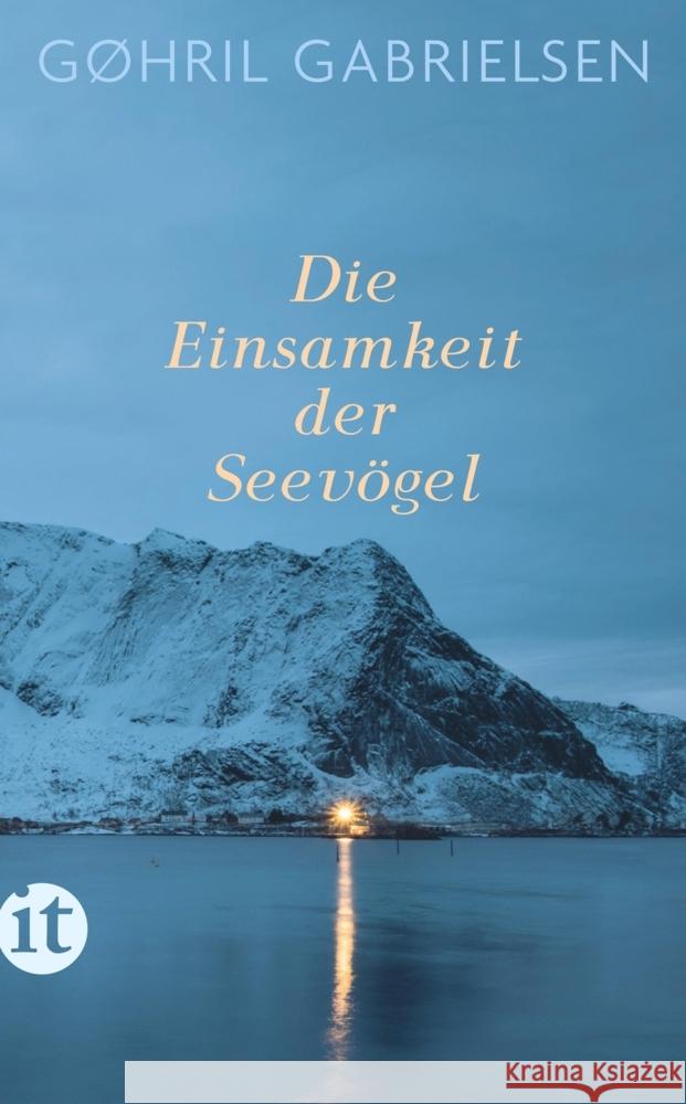 Die Einsamkeit der Seevögel Gabrielsen, Gøhril 9783458681212 Insel Verlag