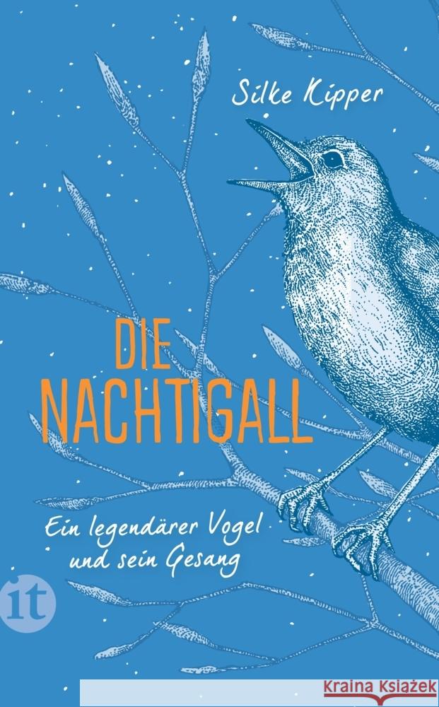 Die Nachtigall Kipper, Silke 9783458682721 Insel Verlag
