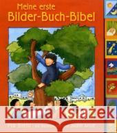 Meine erste Bilder-Buch-Bibel Biehl, Pia Arndt, Judith  9783460242340 Katholisches Bibelwerk