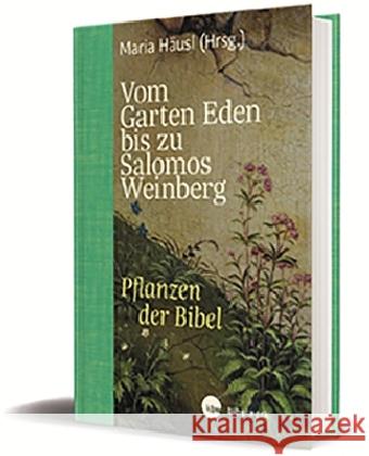 Vom Garten Eden bis zu Salomos Weinberg : Pflanzen der Bibel Häusl, Maria 9783460302075