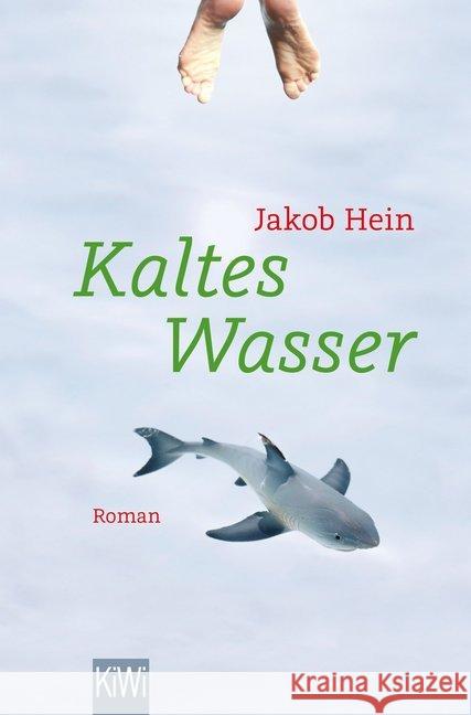 Kaltes Wasser : Roman Hein, Jakob 9783462050585