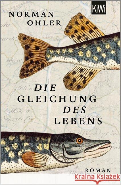 Die Gleichung des Lebens : Roman Ohler, Norman 9783462052855