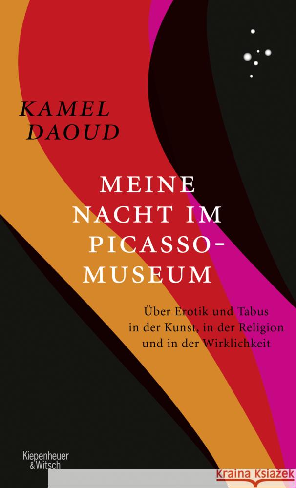 Meine Nacht im Picasso-Museum Daoud, Kamel 9783462053319