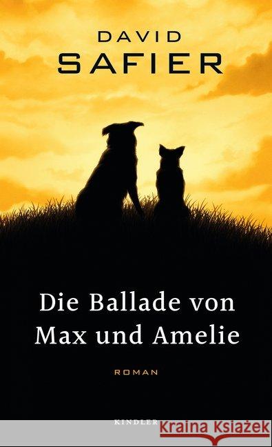 Die Ballade von Max und Amelie : Roman Safier, David 9783463407098 Kindler