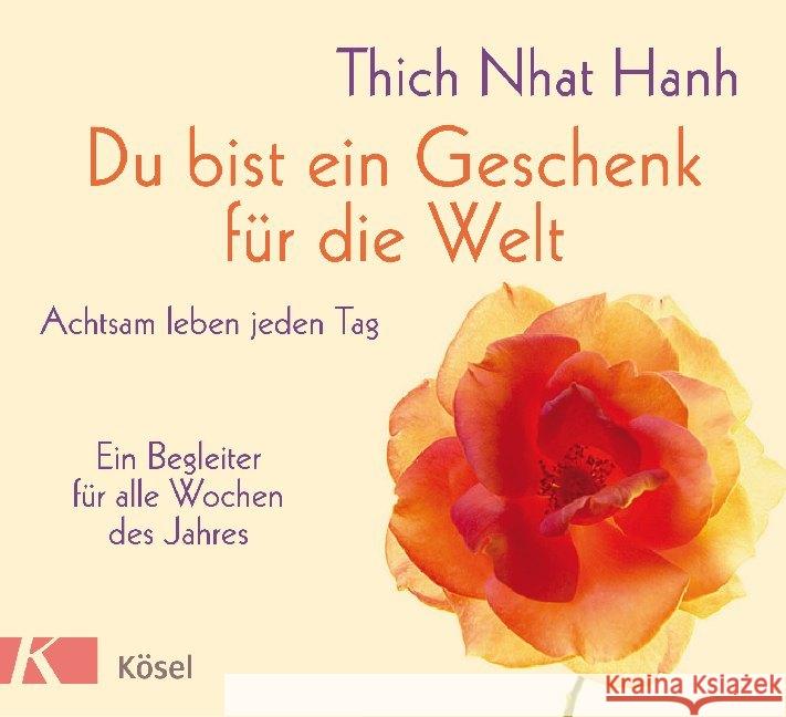 Du bist ein Geschenk für die Welt Thich Nhat Hanh 9783466347551