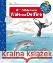 Wir entdecken Wale und Delfine Rübel, Doris   9783473327751 Ravensburger Buchverlag
