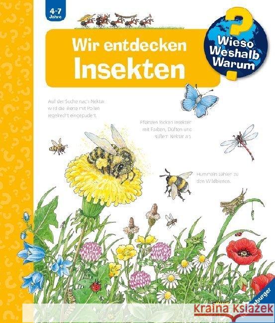 Wir entdecken Insekten Weinhold, Angela 9783473329694 Ravensburger Verlag