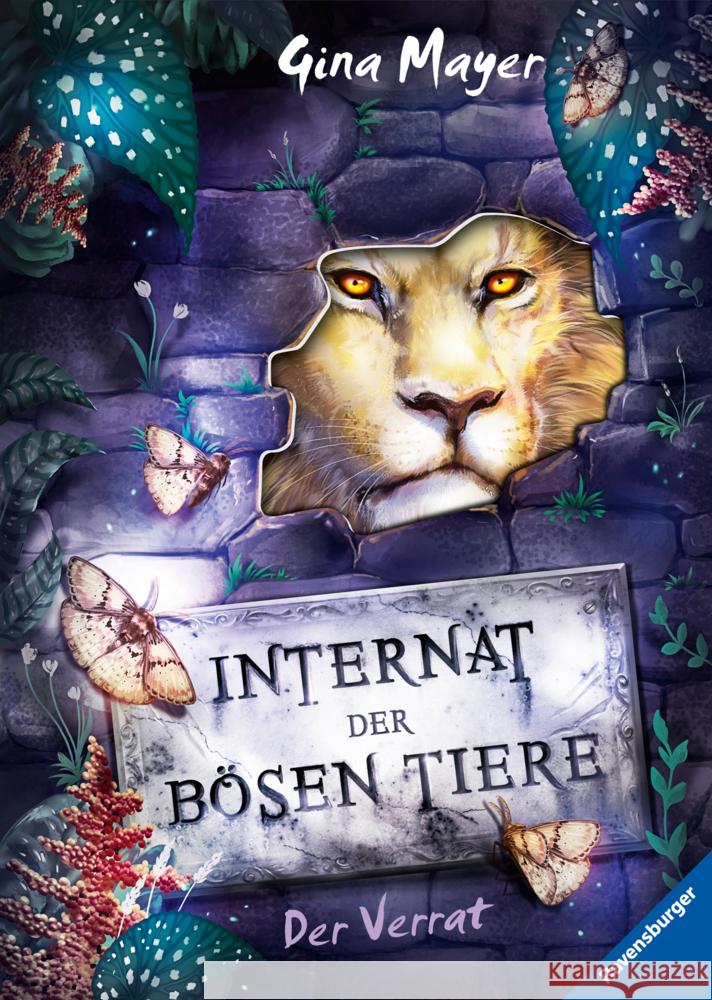 Internat der bösen Tiere - Der Verrat Mayer, Gina 9783473408559