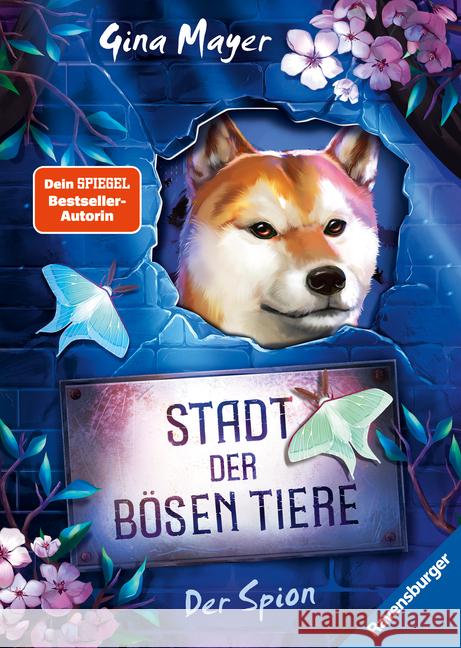 Stadt der bösen Tiere, Band 3: Der Spion (Tier-Fantasy ab 10 Jahre von Bestseller-Autorin Gina Mayer) Mayer, Gina 9783473408986