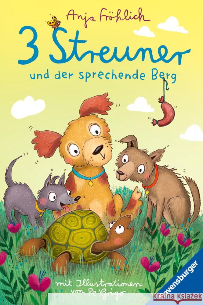 3 Streuner und der sprechende Berg Fröhlich, Anja 9783473409181
