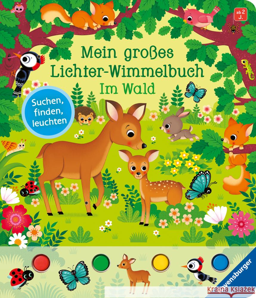 Mein großes Lichter-Wimmelbuch: Im Wald Grimm, Sandra 9783473410446 Ravensburger Verlag