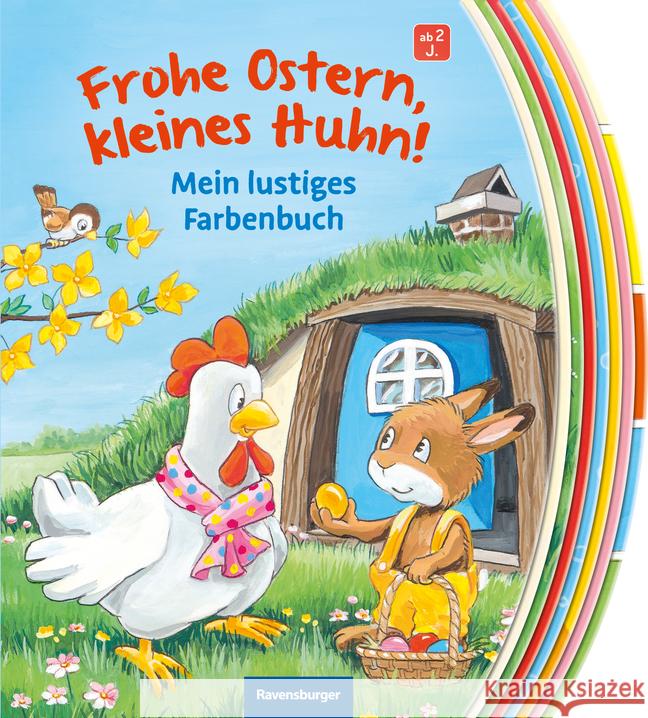 Frohe Ostern, kleines Huhn! Anker, Nicola 9783473417520